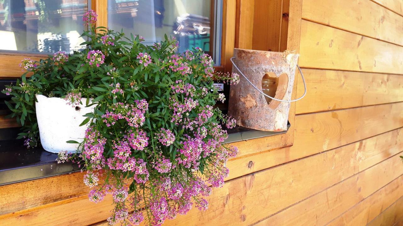 Apartment Landhaus Sonnenschein Schladming